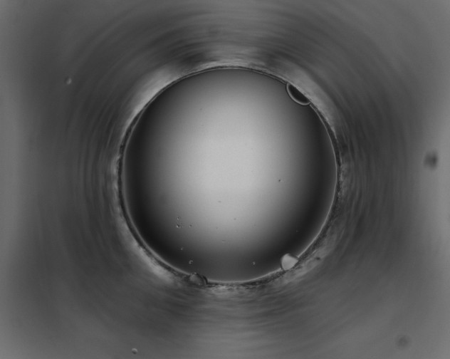 X0000102490906200808081326