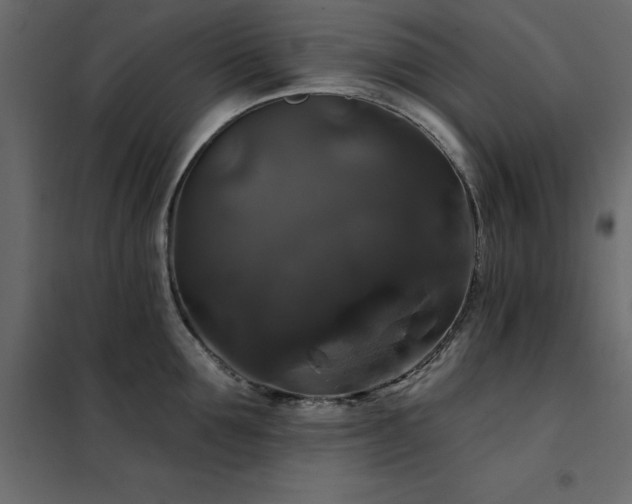 X0000102490907200808081326