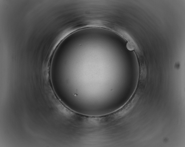 X0000102490908200808081326