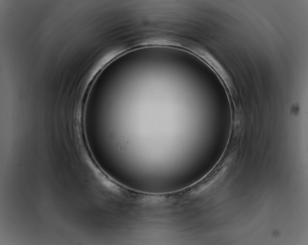 X0000102490909200808081325