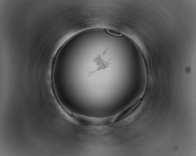 X0000102490910200808081325