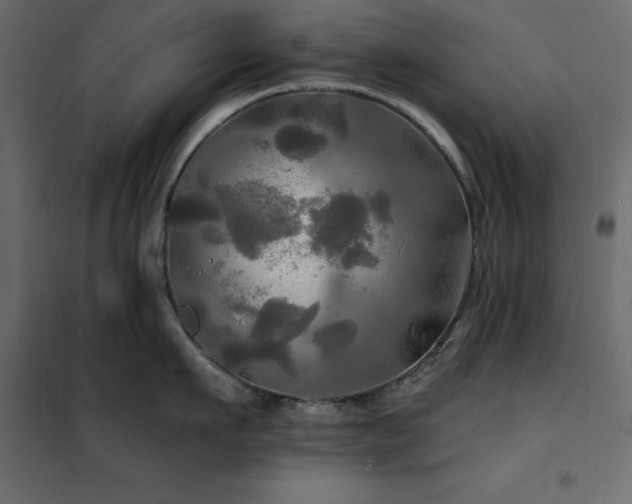 X0000102490911200808081325