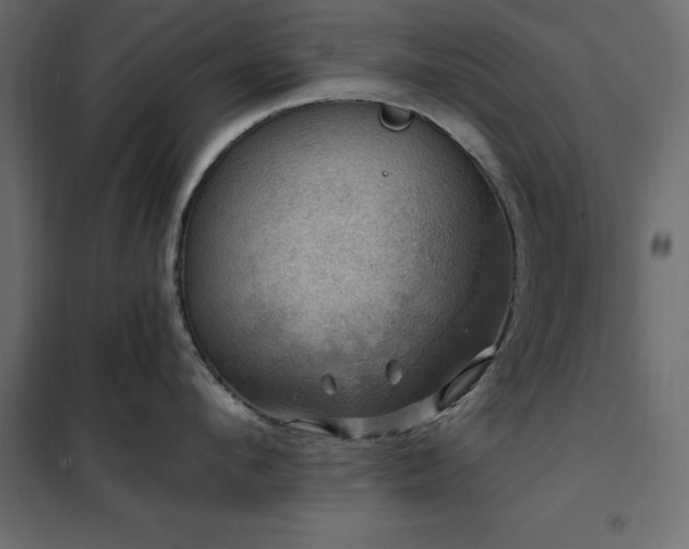 X0000102490912200808081325