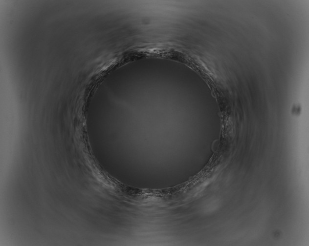 X0000102490913200808081325
