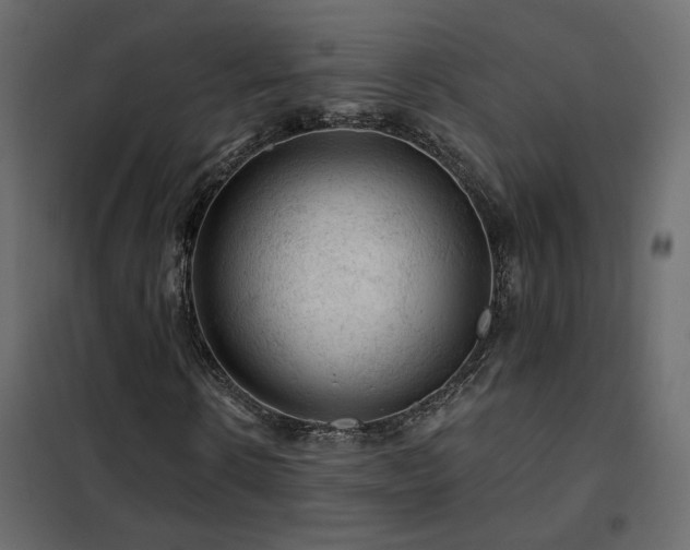 X0000102490914200808081325