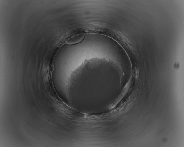 X0000102490915200808081325