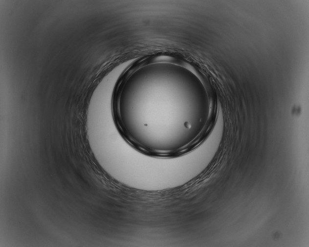 X0000102490916200808081325