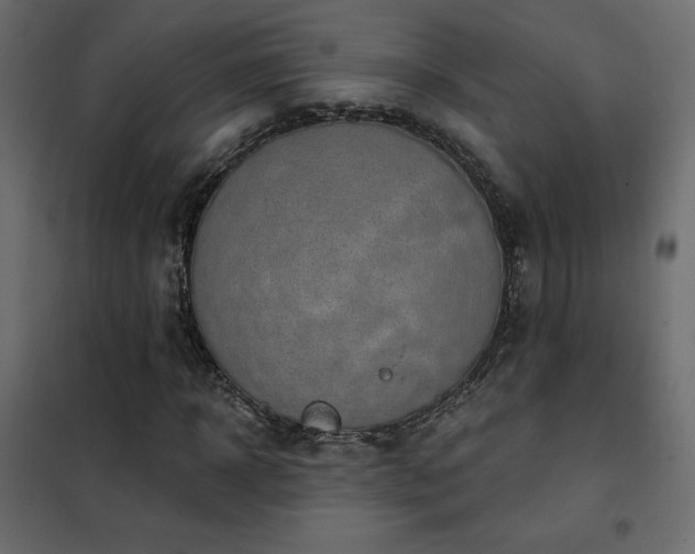 X0000102490918200808081325