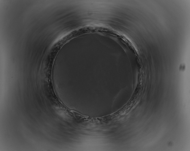 X0000102490919200808081325