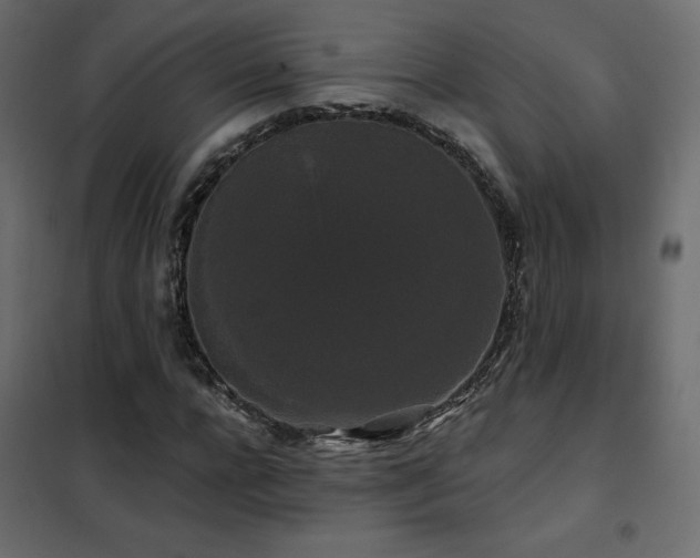 X0000102490920200808081325