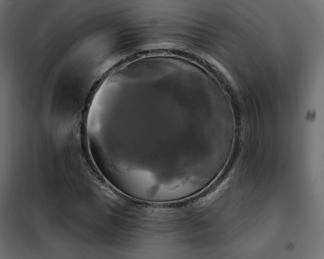 X0000102490921200808081325