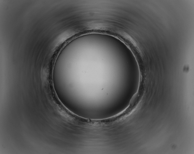 X0000102490922200808081325