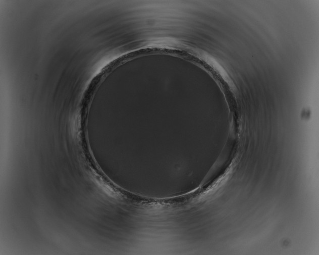 X0000102490923200808081325