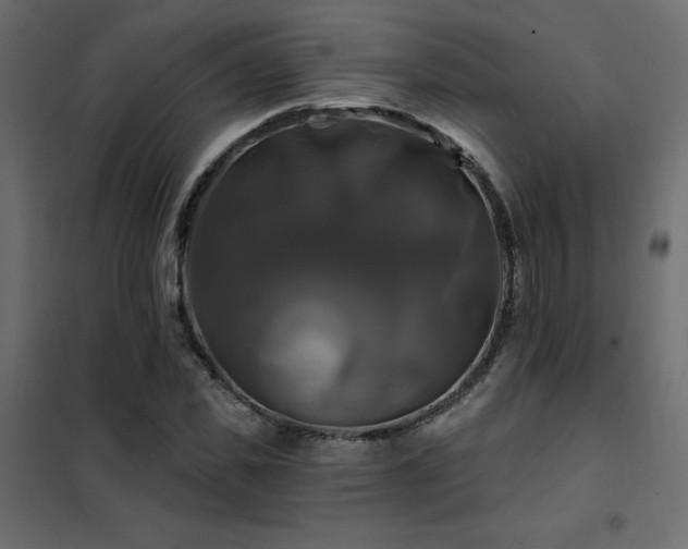 X0000102490925200808081325