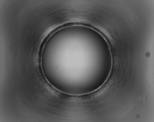 X0000102490927200808081325