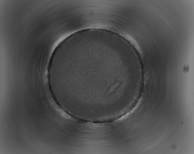 X0000102490928200808081325