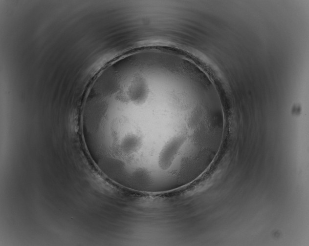 X0000102490929200808081325