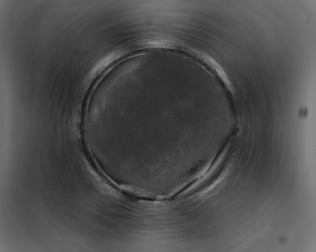 X0000102490930200808081325