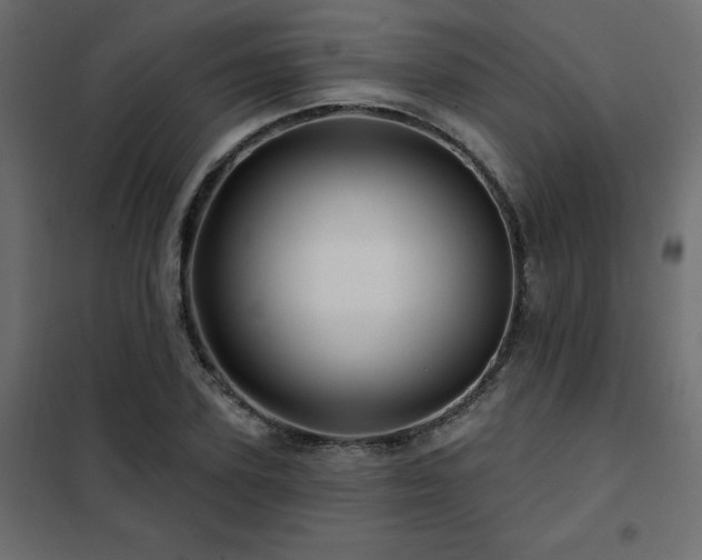 X0000102490931200808081325