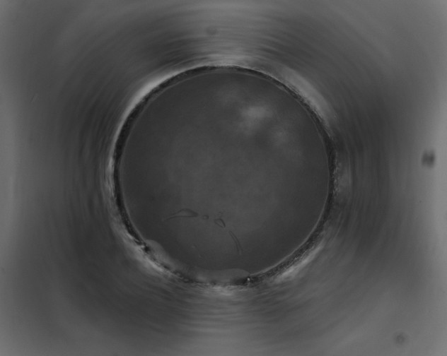 X0000102490932200808081325