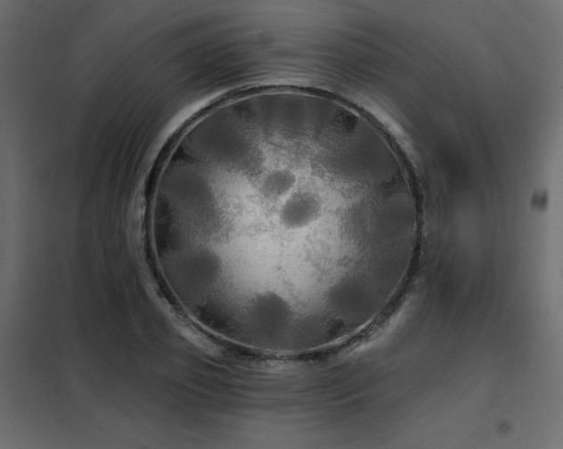 X0000102490933200808081325