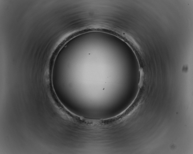 X0000102490934200808081325