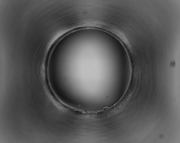 X0000102490936200808081325