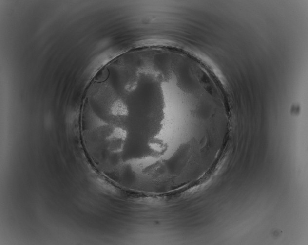 X0000102490937200808081325