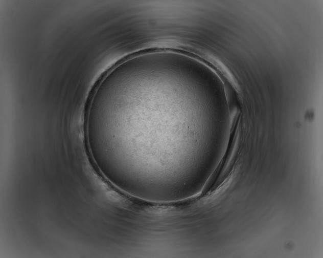 X0000102490939200808081325