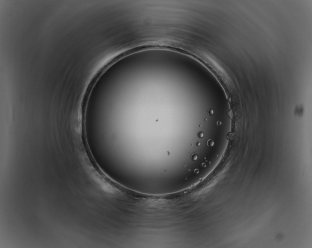 X0000102490940200808081325