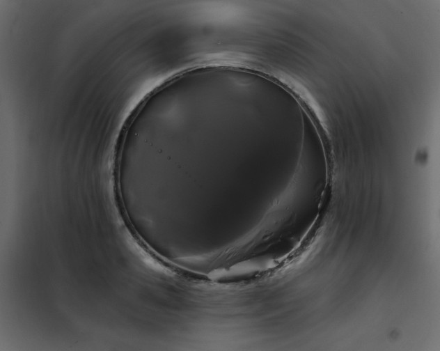 X0000102490941200808081325