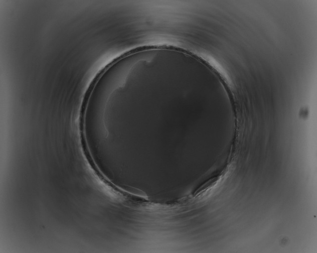 X0000102490943200808081325