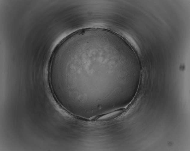 X0000102490944200808081325