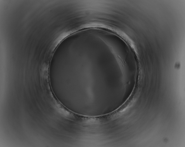 X0000102490945200808081325