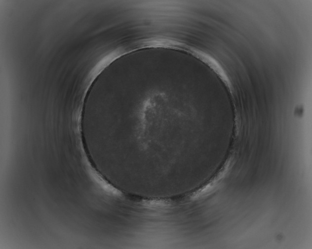 X0000102490946200808081325