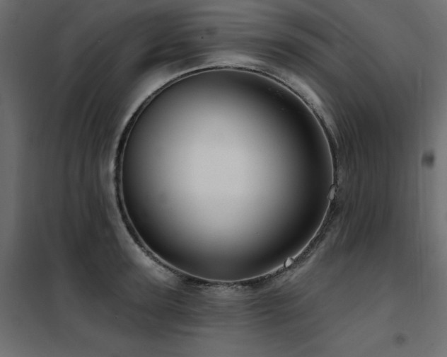 X0000102490947200808081325