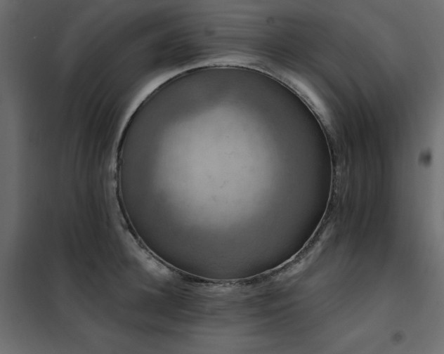 X0000102490948200808081325