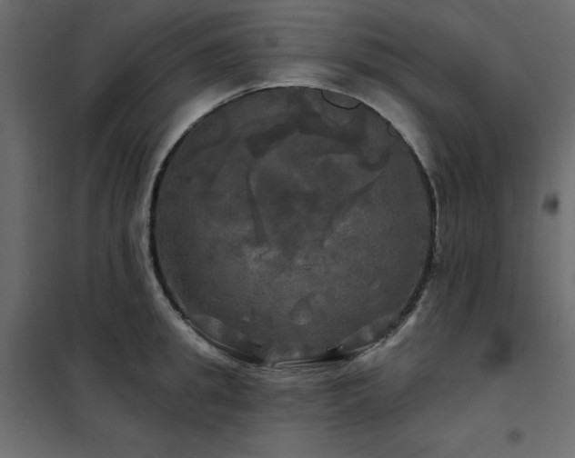 X0000102490949200808081325