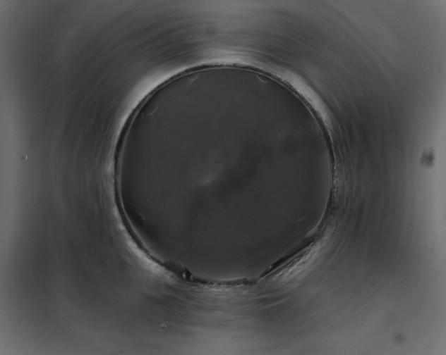 X0000102490951200808081325