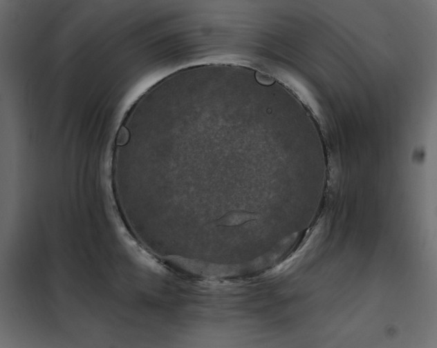 X0000102490952200808081325