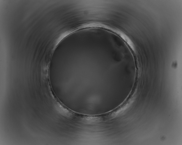 X0000102490953200808081325