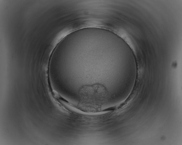X0000102490954200808081325