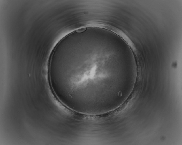 X0000102490955200808081325