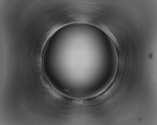 X0000102490956200808081325