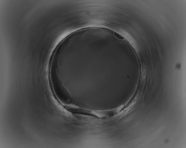 X0000102490958200808081325