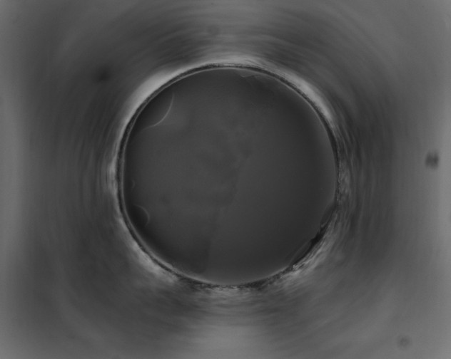 X0000102490959200808081325