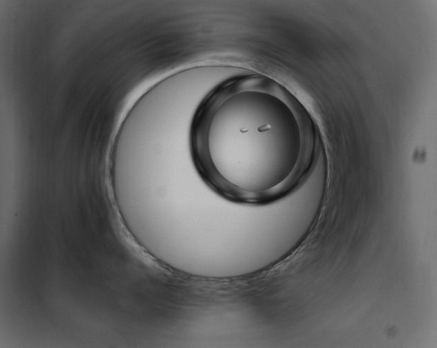 X0000102490960200808081325