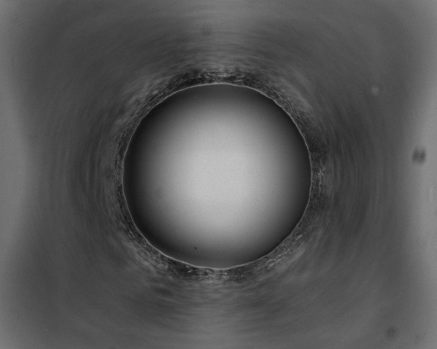 X0000102490961200808081325