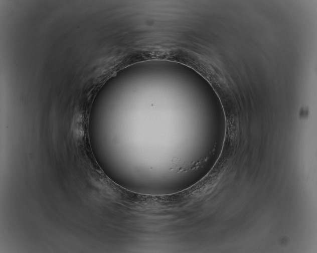 X0000102490962200808081325