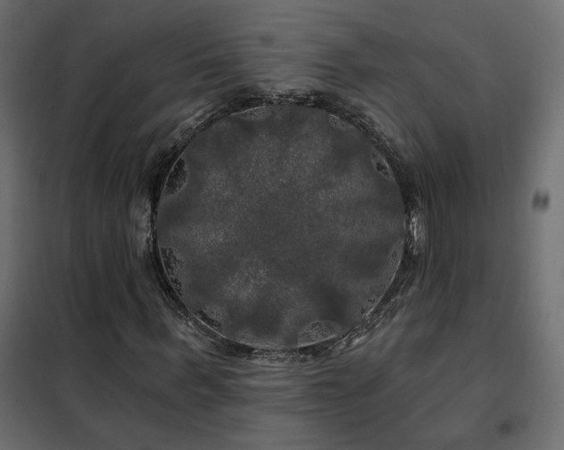 X0000102490963200808081325